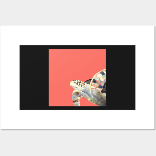 Sea Turtle Watercolor with coral pink background Posters and Art